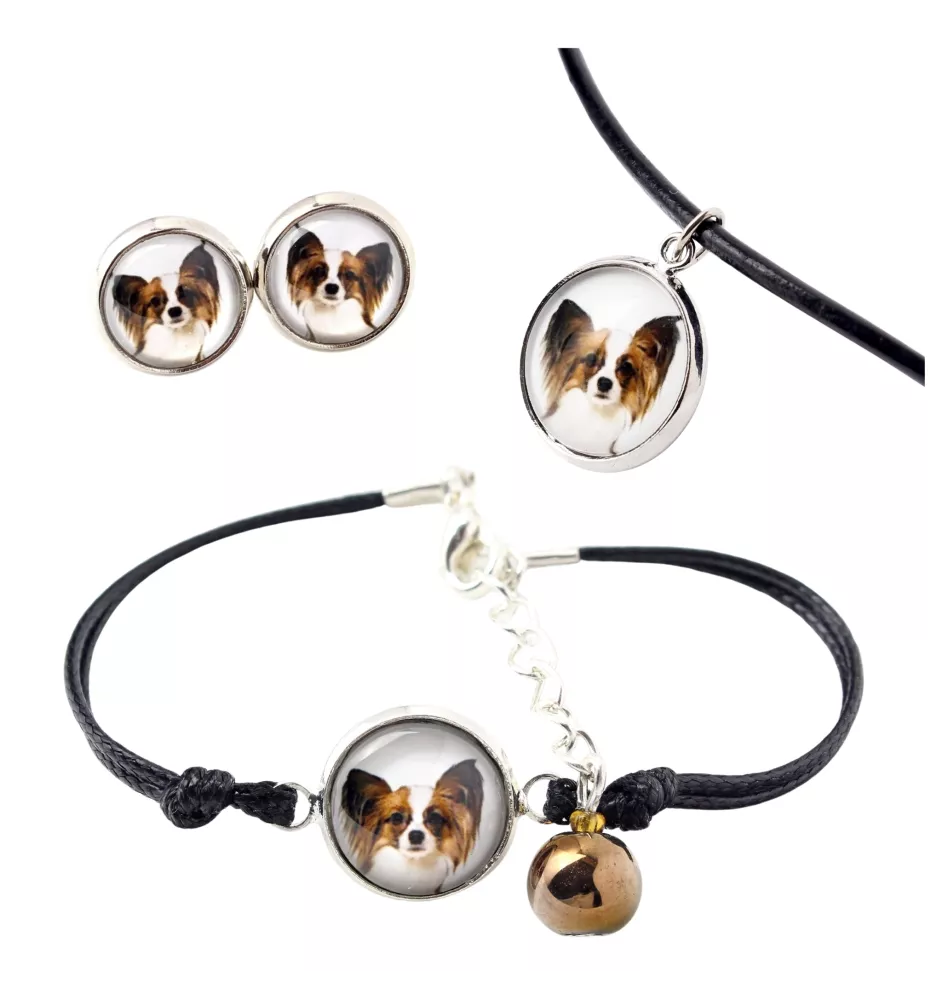 Papillon komplet w pudełku ze zdjęciem Art-Dog