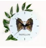 Papillon, Kontinentaler Zwergspaniel - geometrische Wanduhr mit Bild und Aufschrift der Marke Art-Dog
