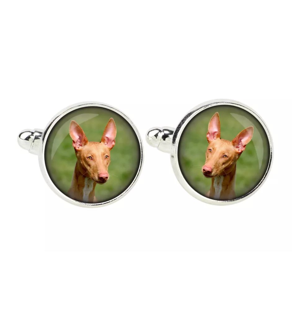 Pharaonenhund, Pharaoh Hound, Kelb tal-Fenek - Manschettenknöpfe, Hemdverzierung, Hemdanhänger der Marke Art-Dog