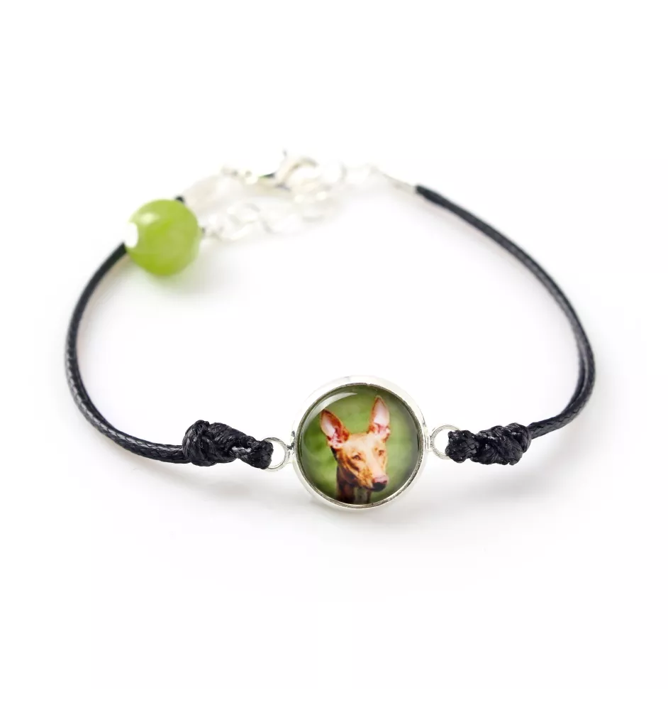 Pharaoh Hound, Kelb tal-Fenek - bracelet with your photo handmade, unique jewelry from the Art-Dog brand