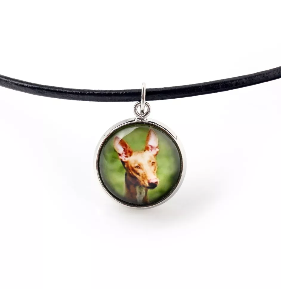 Chien du pharaon, Lévrier du pharaon - collier pendentif avec votre photo, fait main, bijoux de la marque Art-Dog