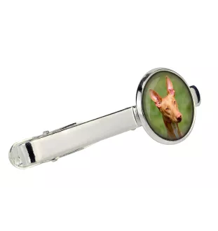 Pharaoh Hound, Kelb tal-Fenek - tie clip in a box, stylish tie, personalized jewelry from the Art-Dog brand