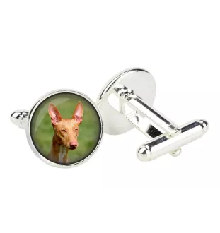 Pharaonenhund, Pharaoh Hound, Kelb tal-Fenek - Manschettenknöpfe in einer Schachtel, handgefertigter Schmuck, Produkt der Marke Art-Dog