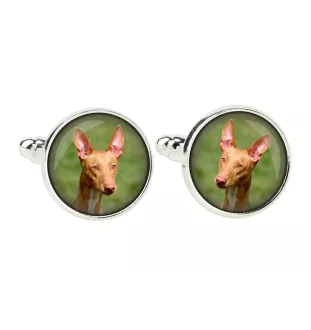 Pharaoh Hound, Kelb tal-Fenek - cufflinks and tie with your photo, a suit decoration, men's jewelry from the Art-Dog brand.