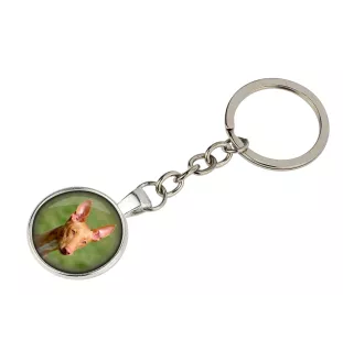 Pharaonenhund, Pharaoh Hound, Kelb tal-Fenek - Schlüsselanhänger in einer Box, eigenes Foto, Schlüsselanhänger der Marke Art-Dog