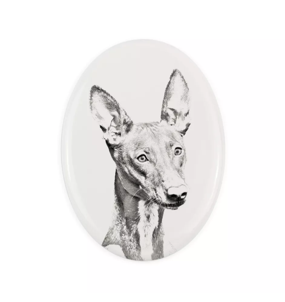 Pharaonenhund, Pharaoh Hound, Kelb tal-Fenek - Gedenktafel mit einem Foto eines Hundes, Grabplatte mit Druck, personalisierte ovale Platte der Marke Art-Dog