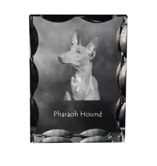 Pharaoh Hound, Kelb tal-Fenek - crystal with a picture of a dog, glass statuette with a picture, unique frame with a picture from Art-Dog brand