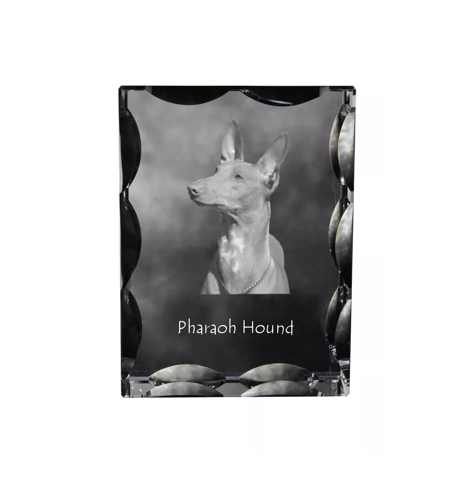 Chien du pharaon, Lévrier du pharaon - cristal avec photo de chien, statuette en verre avec photo, cadre exceptionnel avec photo de la marque Art-Dog