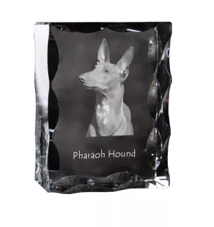 Chien du pharaon, Lévrier du pharaon - cristal avec photo de chien, statuette en verre avec photo, cadre exceptionnel avec photo de la marque Art-Dog