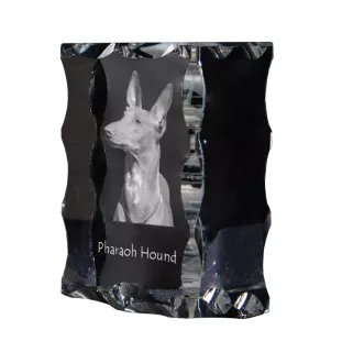 Pharaoh Hound, Kelb tal-Fenek - crystal with a picture of a dog, glass statuette with a picture, unique frame with a picture from Art-Dog brand
