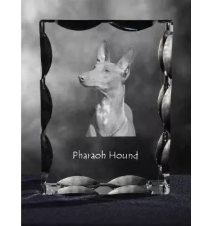 Pharaoh Hound, Kelb tal-Fenek - crystal with a picture of a dog, glass statuette with a picture, unique frame with a picture from Art-Dog brand