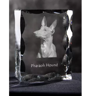 Chien du pharaon, Lévrier du pharaon - cristal avec photo de chien, statuette en verre avec photo, cadre exceptionnel avec photo de la marque Art-Dog
