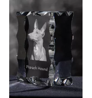 Chien du pharaon, Lévrier du pharaon - cristal avec photo de chien, statuette en verre avec photo, cadre exceptionnel avec photo de la marque Art-Dog