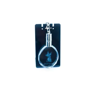 Pharaoh Hound, Kelb tal-Fenek - pendant with a photo of a dog, crystal key ring in a gift box, a unique gift by Art-Dog