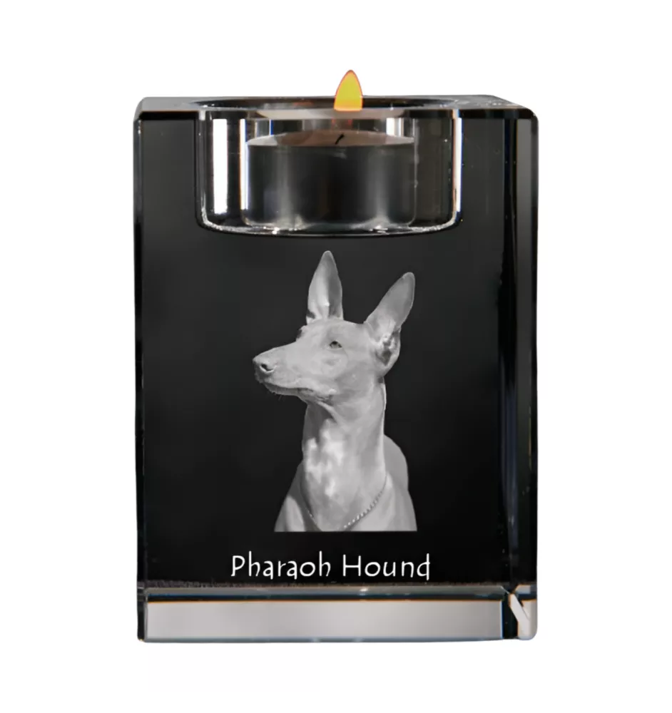 Chien du pharaon, Lévrier du pharaon - Bougeoir avec photo de chien, porte bougie en cristal, cadeau personnalisé par la marque Art-Dog