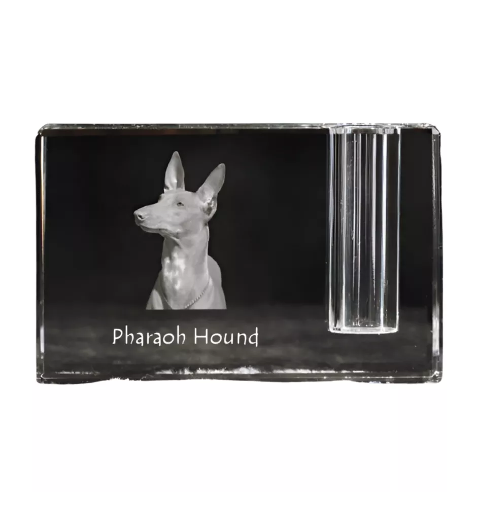 Chien du pharaon, Lévrier du pharaon - Porte-stylos, organiseur en cristal avec photo de chien, décoration de bureau unique par la marque Art-Dog
