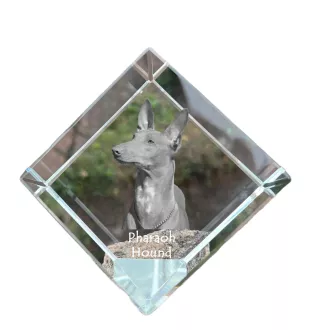 Pharaoh Hound, Kelb tal-Fenek - crystal cube with a photo, photo of a horse in crystal, cubic paperweight from Art-Dog brand