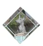 Chien du pharaon, Lévrier du pharaon - un cube de cristal avec une photo, une photo de cheval dans le cristal, un presse-papiers cubique de la marque Art-Dog