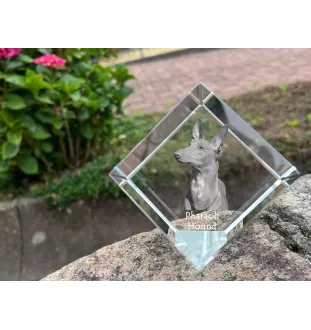 Pharaoh Hound, Kelb tal-Fenek - crystal cube with a photo, photo of a horse in crystal, cubic paperweight from Art-Dog brand