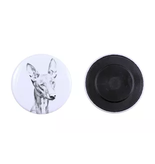 Pharaoh Hound, Kelb tal-Fenek - magnet with a dog's pupil, exceptionally light, strong magnet, handmade product by the Art-Dog brand