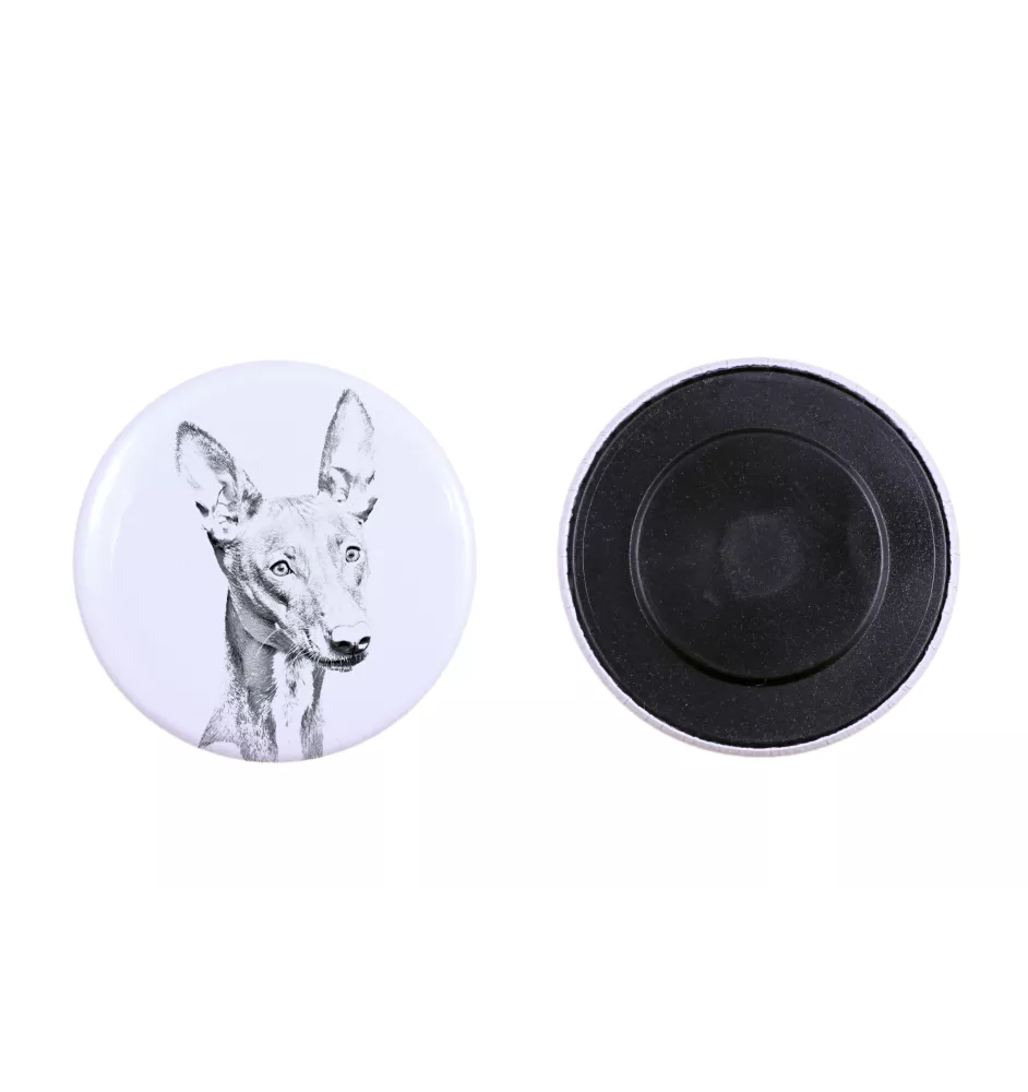 Pharaoh Hound, Kelb tal-Fenek - magnet with a dog's pupil, exceptionally light, strong magnet, handmade product by the Art-Dog brand
