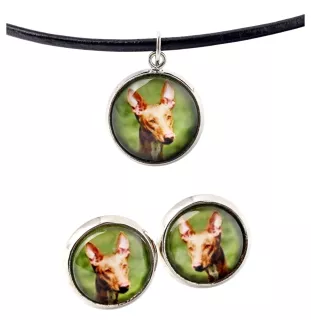 Chien du pharaon, Lévrier du pharaon - boîte à bijoux avec votre photo, ensemble collier et boucles d'oreilles, produits personnalisés de la marque Art-Dog