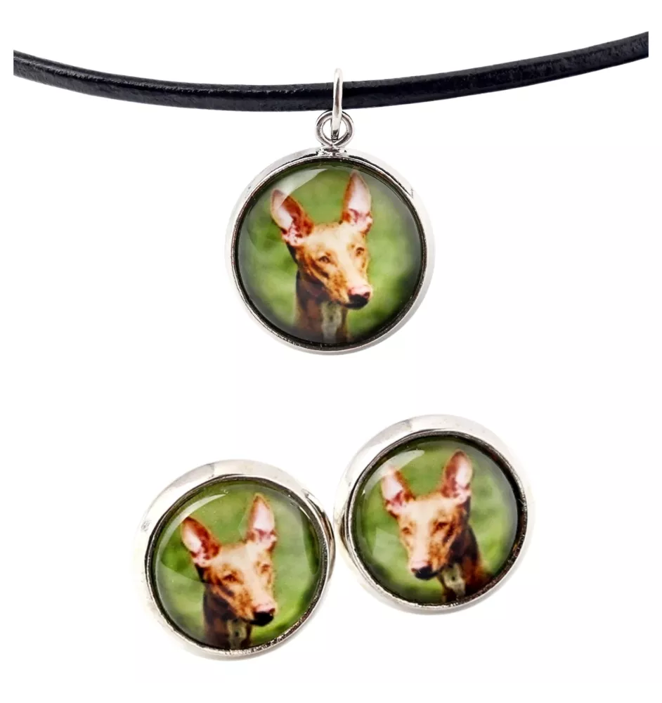 Chien du pharaon, Lévrier du pharaon - boîte à bijoux avec votre photo, ensemble collier et boucles d'oreilles, produits personnalisés de la marque Art-Dog