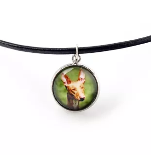 Pharaonenhund, Pharaoh Hound, Kelb tal-Fenek - Schmuck mit Ihrem Foto-Box, Halskette und Ohrringe-Set, personalisierte Produkte der Marke Art-Dog.
