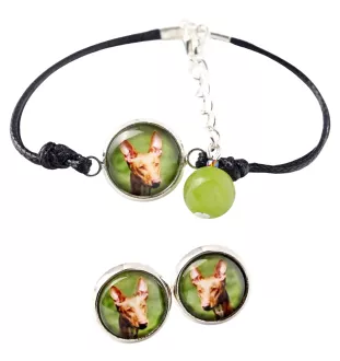 Chien du pharaon, Lévrier du pharaon - ensemble de bijoux avec votre photo, accessoire féminin, article fait main, produit fabriqué à la main avec passion pour la création de la marque Art-Dog