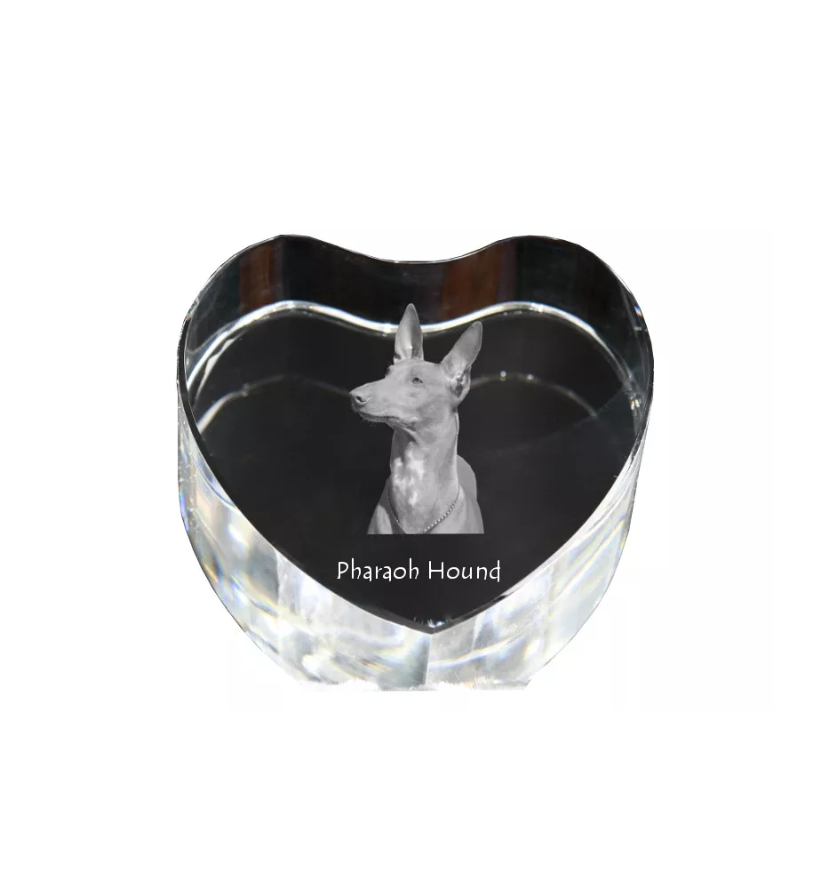 Pharaoh Hound, Kelb tal-Fenek - a photo of a dog in crystal, crystal heart, unique photo frame from the Art-Dog brand