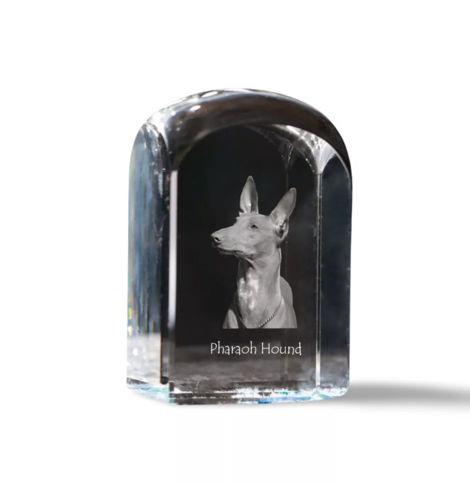Pharaoh Hound, Kelb tal-Fenek - crystal cube with a photo, photo of a dog in crystal, cubic paperweight from Art-Dog brand