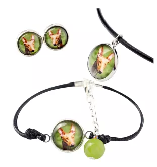 Pharaonenhund, Pharaoh Hound, Kelb tal-Fenek - Schmuckset in einer Schachtel, Halskette, Ohrringe, Armband, Produkte der Marke Art-Dog