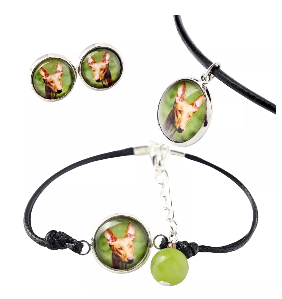 Pharaoh Hound, Kelb tal-Fenek - a set of jewelry in a box, necklace, earrings, bracelet, products from the Art-Dog brand