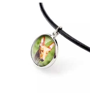 Pharaoh Hound, Kelb tal-Fenek - a set of jewelry in a box, necklace, earrings, bracelet, products from the Art-Dog brand