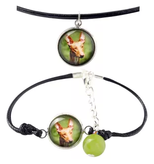 Pharaonenhund, Pharaoh Hound, Kelb tal-Fenek - Schmuckset mit Ihrem Foto, handgefertigtes Set, Armband und Halskette von Art.-Dog.