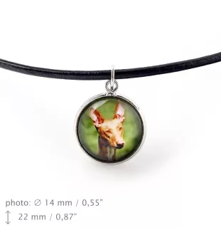 Pharaonenhund, Pharaoh Hound, Kelb tal-Fenek - Schmuckset mit Ihrem Foto, handgefertigtes Set, Armband und Halskette von Art.-Dog.