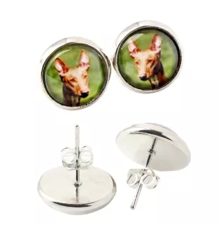 Chien du pharaon, Lévrier du pharaon - boucles d'oreilles dans une boîte, votre photo, bijoux faits à la main, produit de la marque Art-Dog.