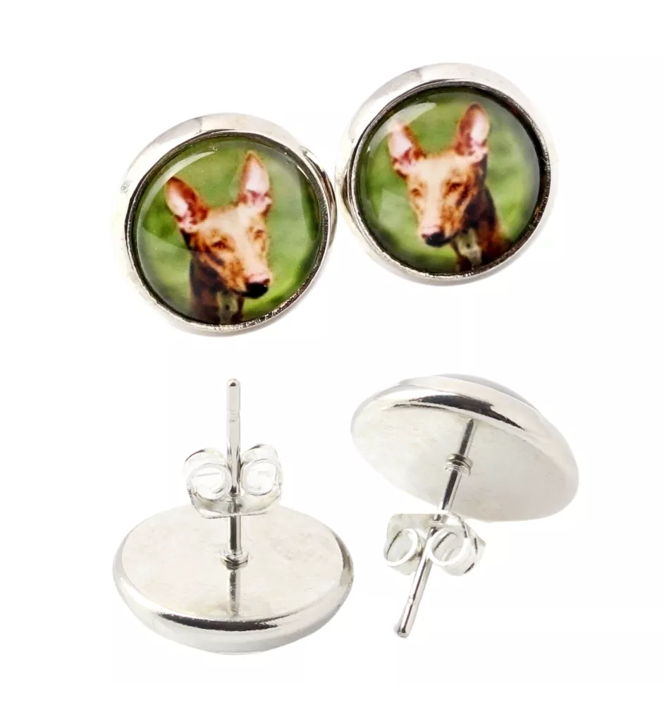 Chien du pharaon, Lévrier du pharaon - boucles d'oreilles dans une boîte, votre photo, bijoux faits à la main, produit de la marque Art-Dog.