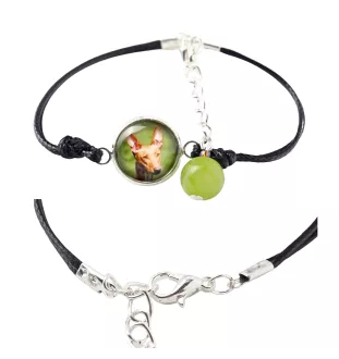 Pharaoh Hound, Kelb tal-Fenek - bracelet in a box with your photo, feminine jewelry, perfect gift from Art-Dog brand