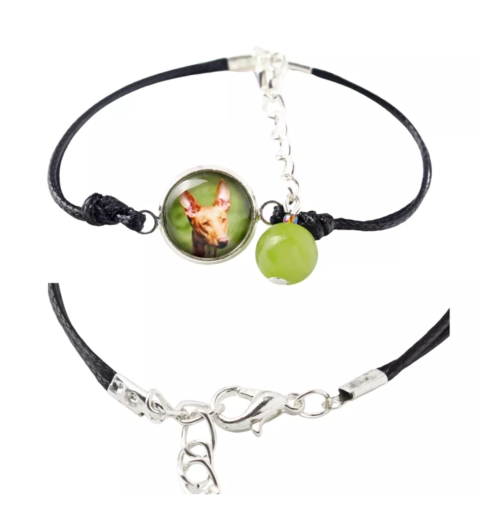 Pharaoh Hound, Kelb tal-Fenek - bracelet in a box with your photo, feminine jewelry, perfect gift from Art-Dog brand