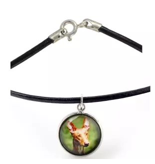 Chien du pharaon, Lévrier du pharaon - collier dans une boîte, élégant bijou, pendentif de la marque Art-Dog