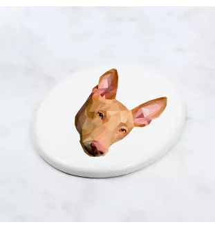 Chien du pharaon, Lévrier du pharaon - une plaque avec une photo et un motif géométrique de la marque Art-Dog