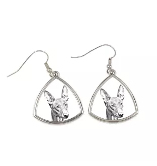 Pharaonenhund, Pharaoh Hound, Kelb tal-Fenek - Hund Ohrringe, hängende Ohrringe mit Bild, personalisierter Schmuck mit dem Aufdruck der Marke Art-Dog