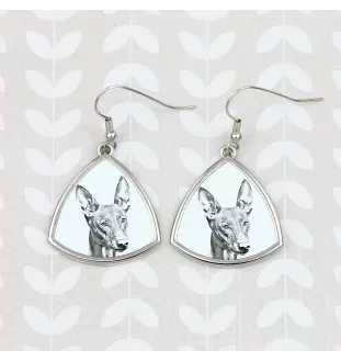 Pharaoh Hound, Kelb tal-Fenek - dog earrings, hanging earrings with a picture, personalized jewelry with Art-Dog brand print
