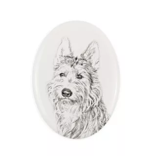 Picardy Sheepdog, Berger Picard, Picardy Shepherd - commemorative plaque with a photo of a dog, tombstone with a print, personalized oval plaque from the Art-Dog brand