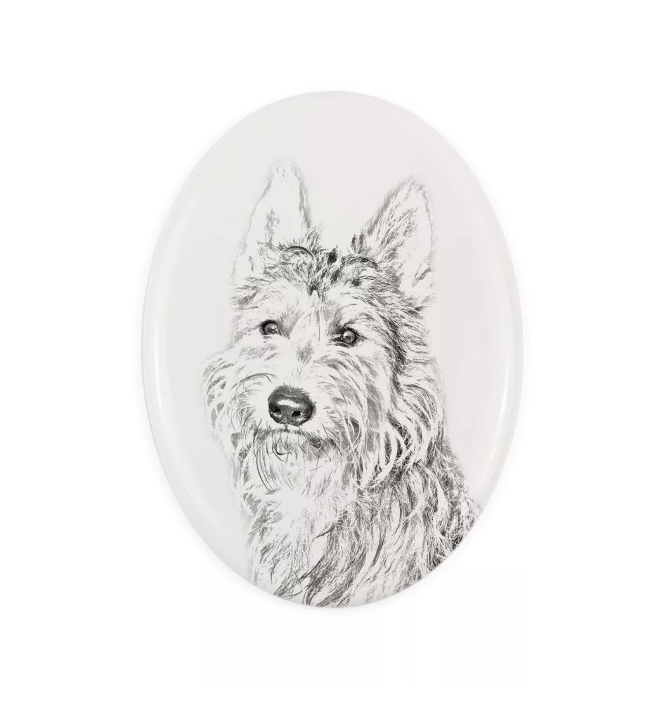 Picardy Sheepdog, Berger Picard, Picardy Shepherd - commemorative plaque with a photo of a dog, tombstone with a print, personalized oval plaque from the Art-Dog brand