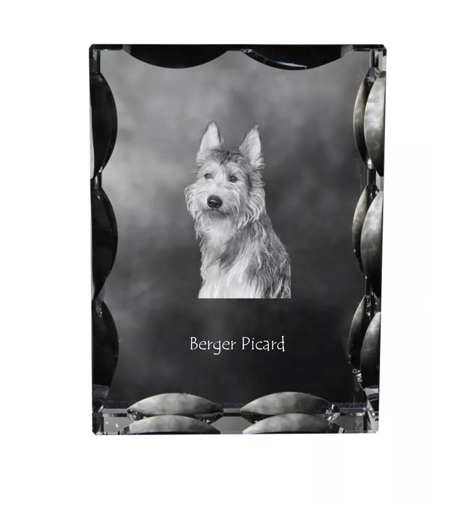 Picardy Sheepdog, Berger Picard, Picardy Shepherd - crystal with a picture of a dog, glass statuette with a picture, unique frame with a picture from Art-Dog brand