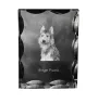 Berger de Picardie, Berger Picard - cristal avec photo de chien, statuette en verre avec photo, cadre exceptionnel avec photo de la marque Art-Dog