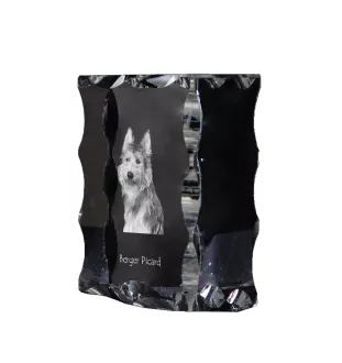 Berger de Picardie, Berger Picard - Kristall mit einem Hundebild, Glasstatuette mit einem Bild, einzigartiger Bilderrahmen der Marke Art-Dog