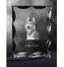 Berger de Picardie, Berger Picard - cristal avec photo de chien, statuette en verre avec photo, cadre exceptionnel avec photo de la marque Art-Dog
